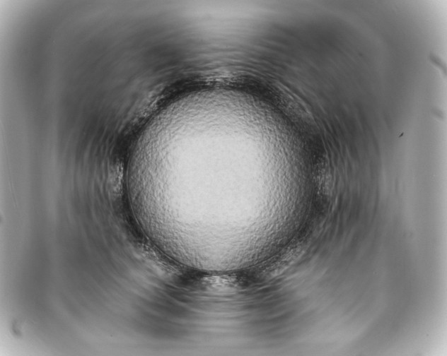 X0000095520660200712281501