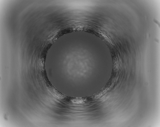 X0000095520661200712281501