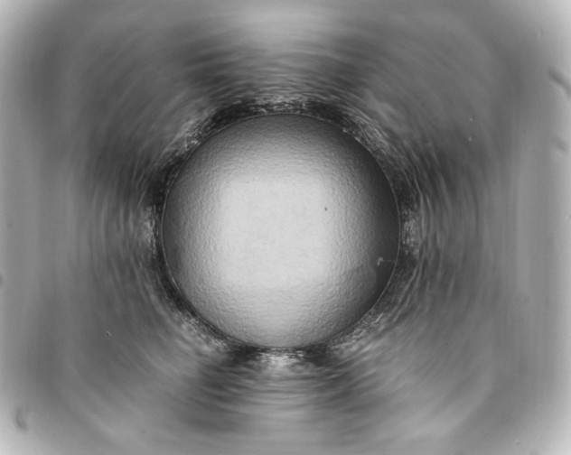 X0000095520662200712281501