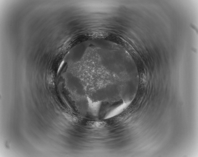 X0000095520663200712281501