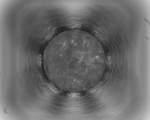 X0000095520664200712281501