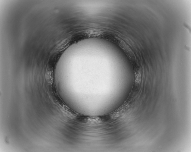 X0000095520666200712281501