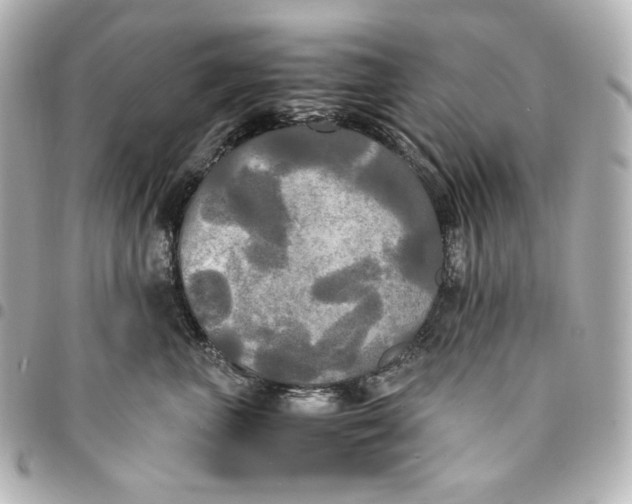 X0000095520667200712281501