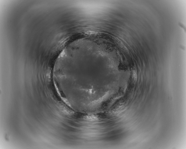 X0000095520668200712281501