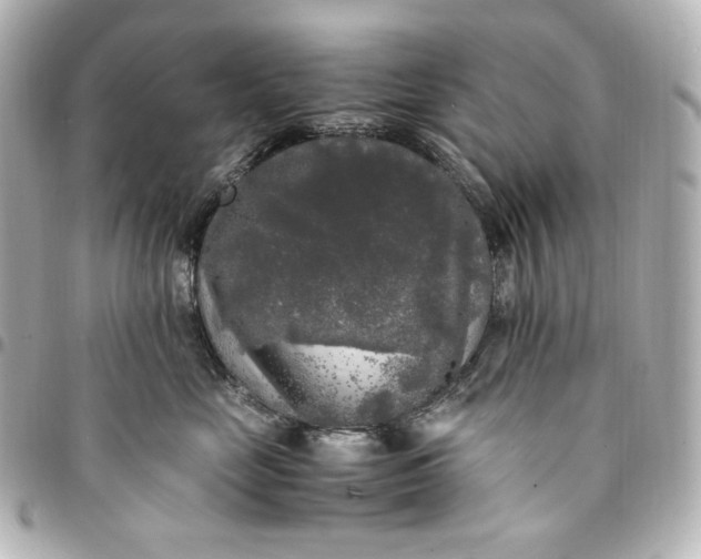 X0000095520669200712281501