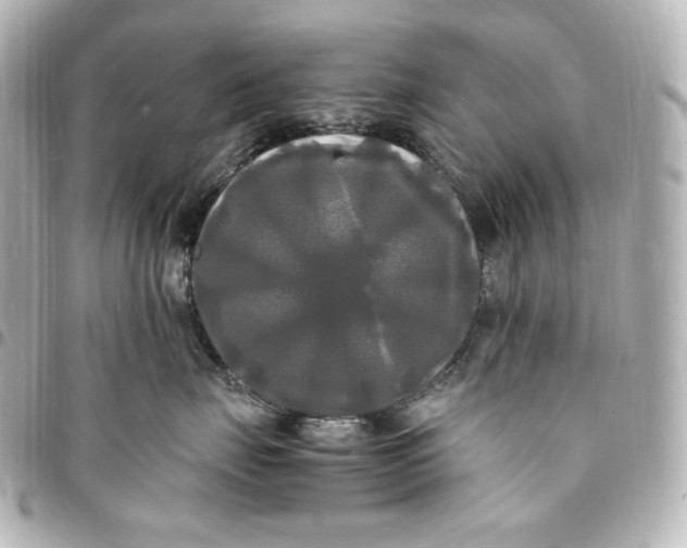 X0000095520671200712281501