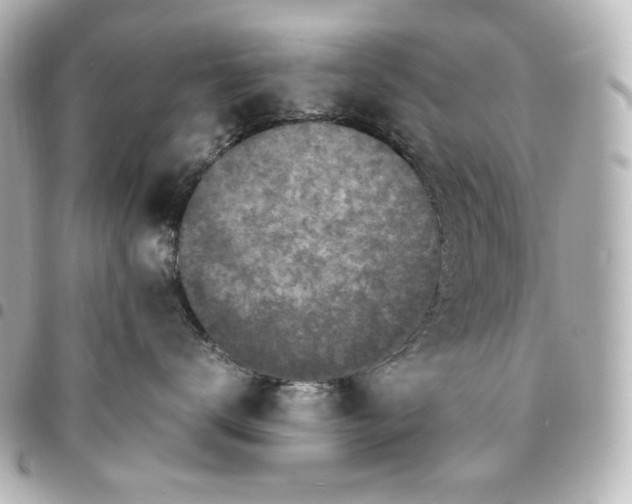 X0000095520672200712281501