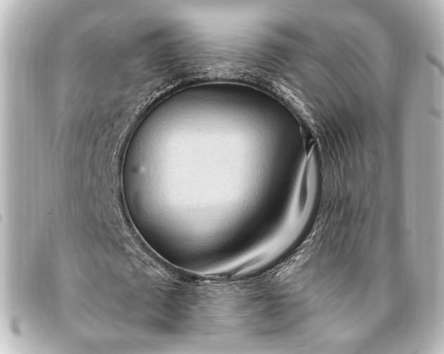 X0000095520673200712281500