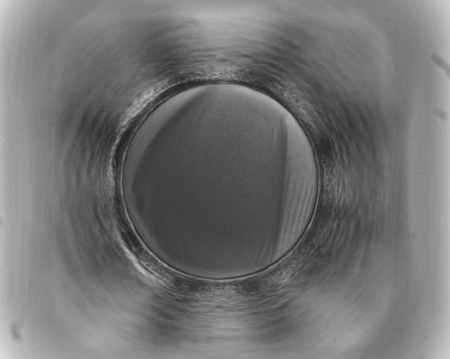 X0000095520674200712281500