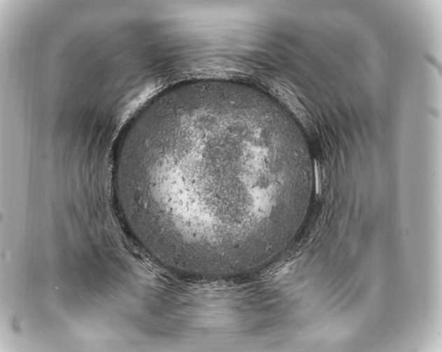 X0000095520675200712281500