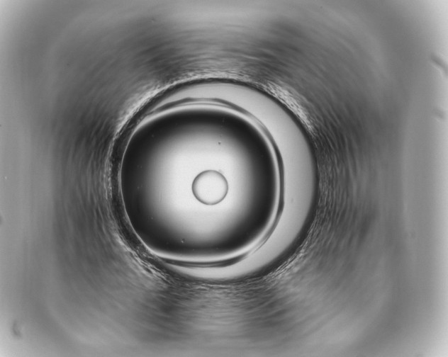 X0000095520676200712281500