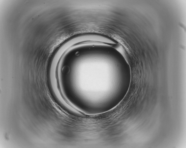 X0000095520677200712281500