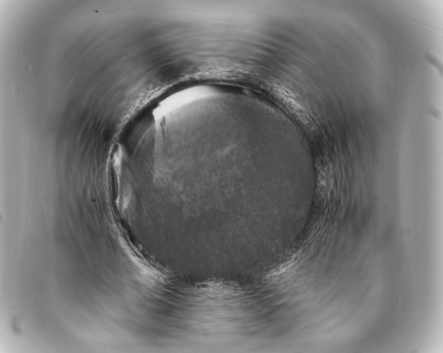 X0000095520678200712281500