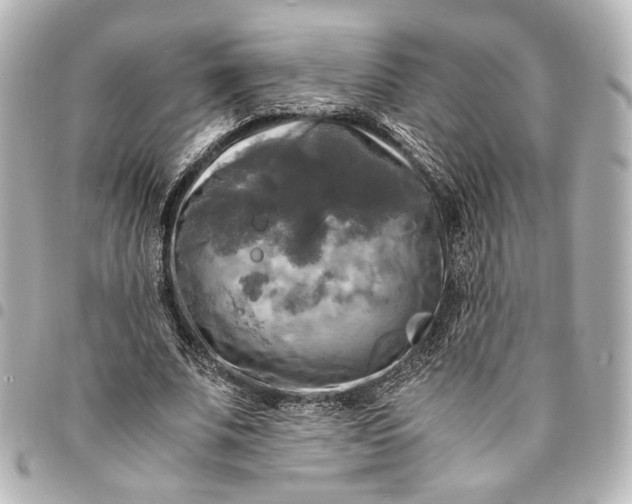 X0000095520679200712281500