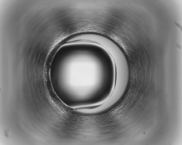 X0000095520680200712281500