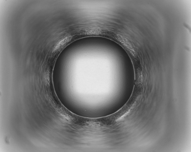 X0000095520681200712281500