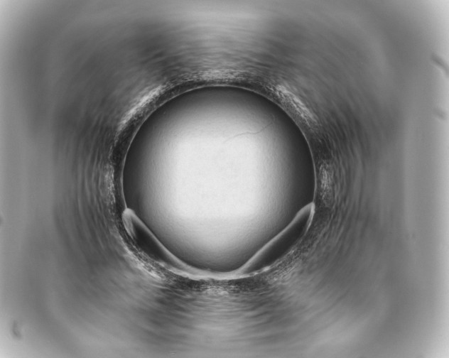 X0000095520684200712281500