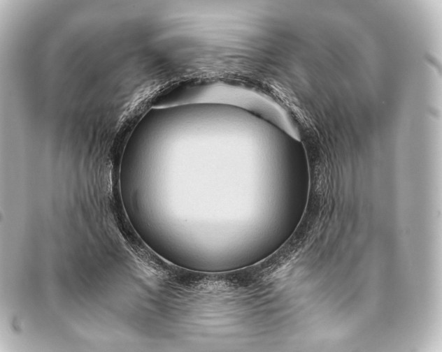 X0000095520685200712281500