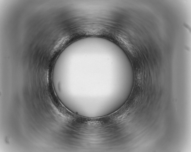 X0000095520686200712281500