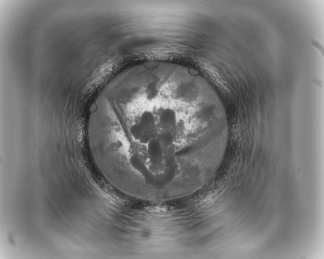 X0000095520687200712281500