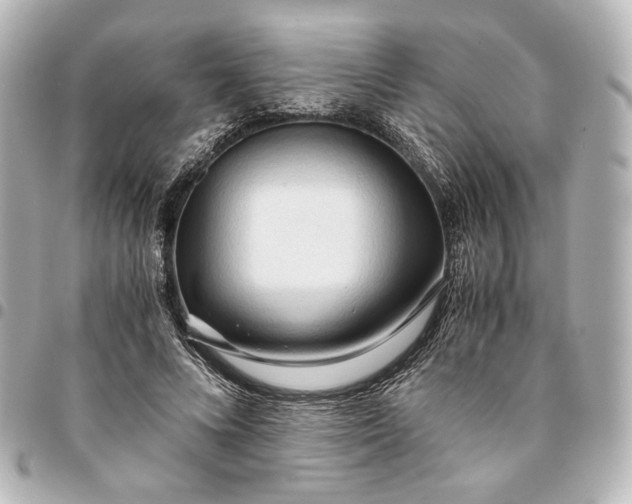 X0000095520688200712281500