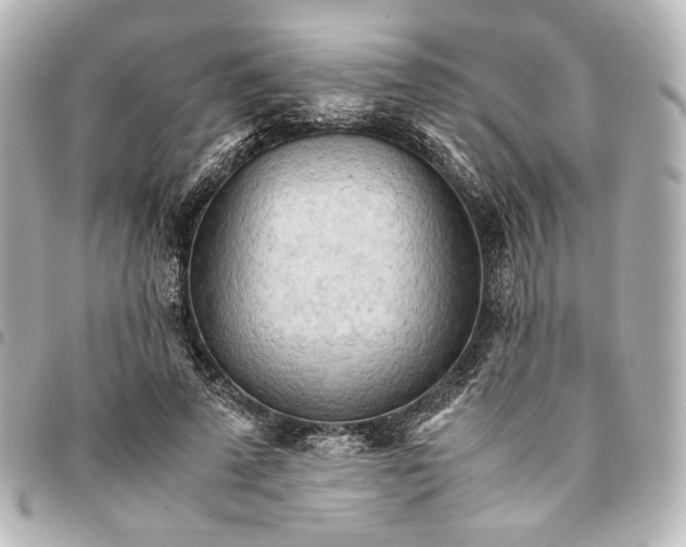 X0000095520689200712281500