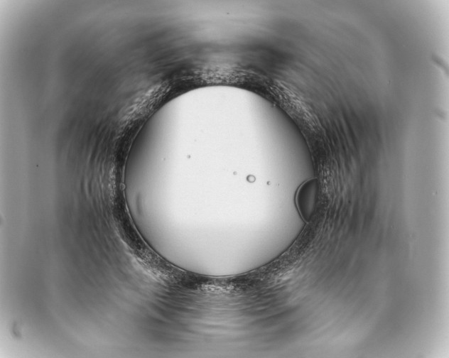 X0000095520690200712281500