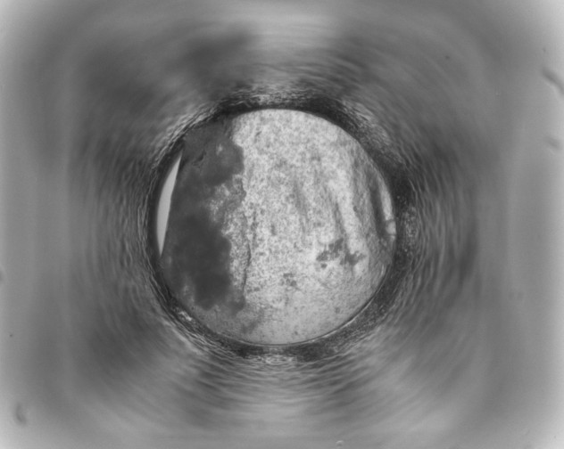 X0000095520691200712281500