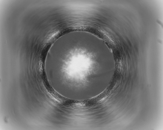 X0000095520692200712281500