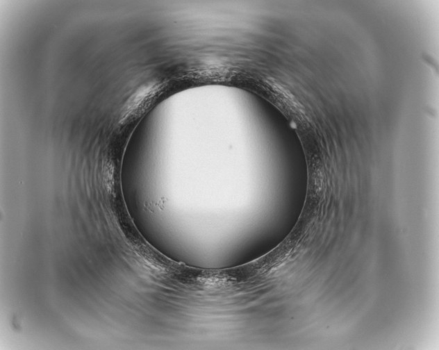 X0000095520693200712281500