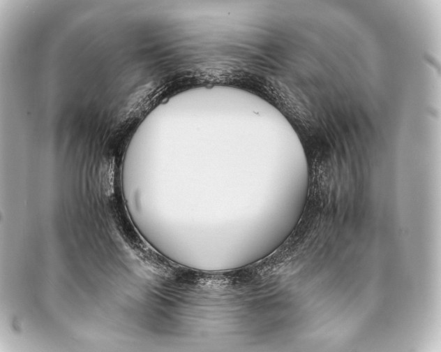 X0000095520694200712281500