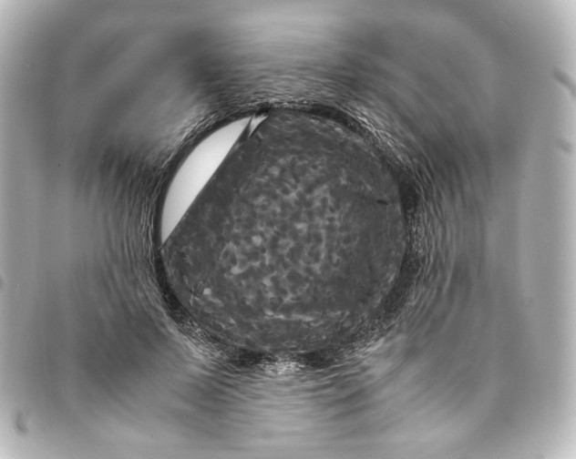 X0000095520695200712281500