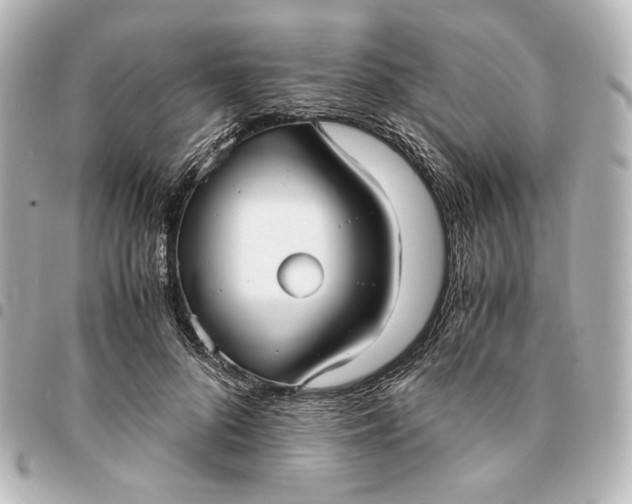 X0000095520696200712281500