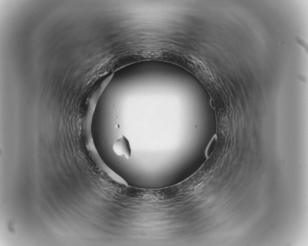 X0000095520697200712281500