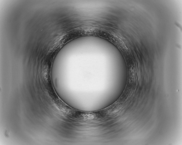 X0000095520698200712281500