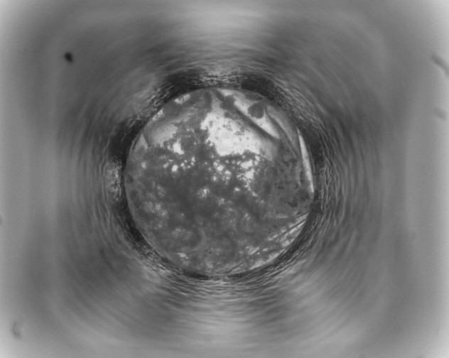 X0000095520699200712281500