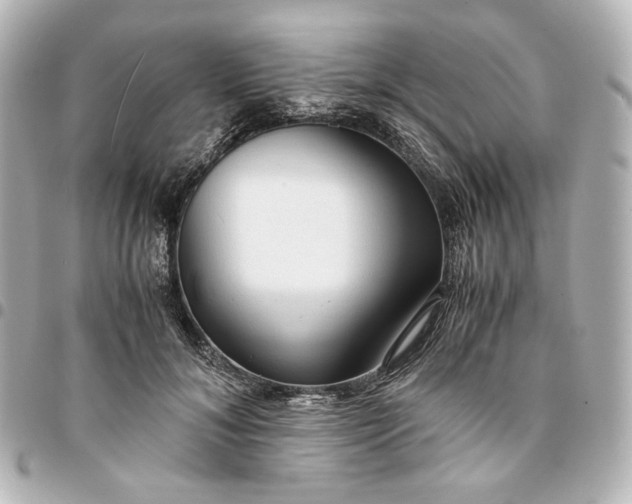 X0000095520700200712281500