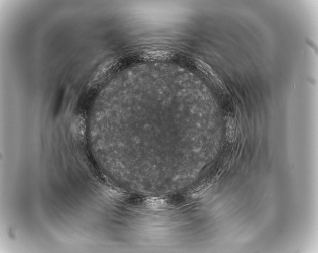 X0000095520701200712281500