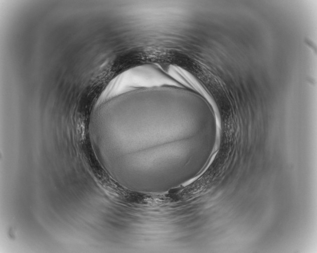 X0000095520703200712281500