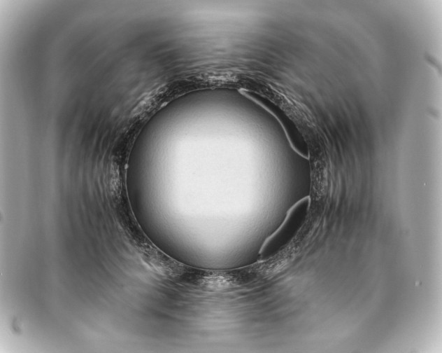 X0000095520704200712281500