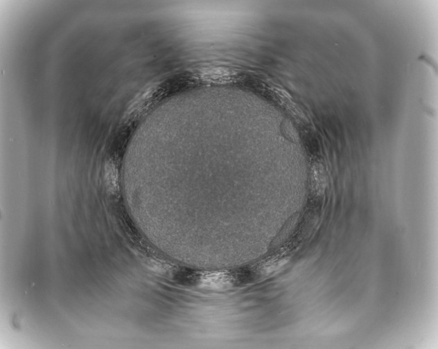 X0000095520705200712281500