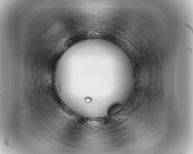 X0000095520706200712281500