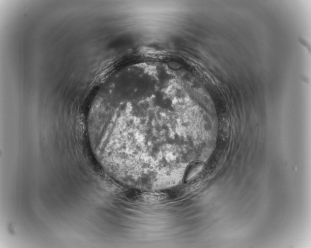 X0000095520707200712281500