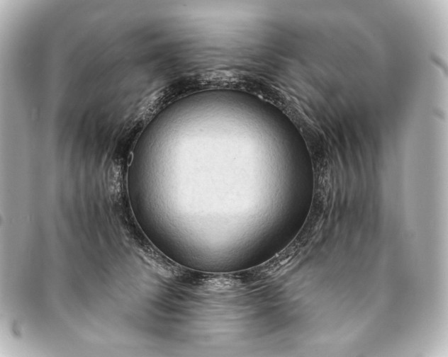 X0000095520708200712281500