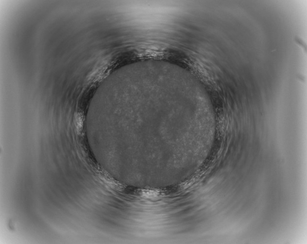 X0000095520709200712281500