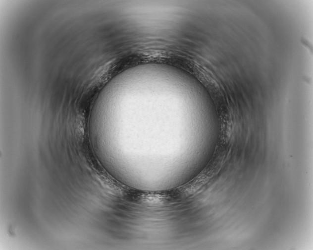 X0000095520710200712281500