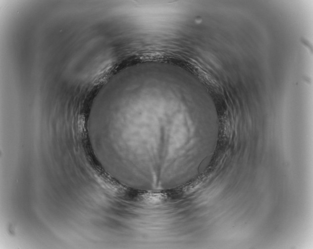 X0000095520711200712281500