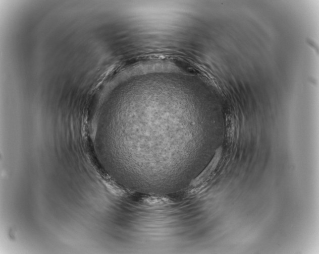 X0000095520712200712281500