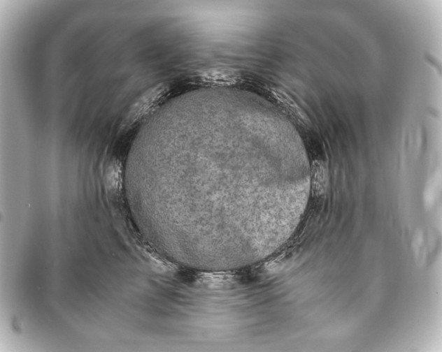 X0000095520713200712281500