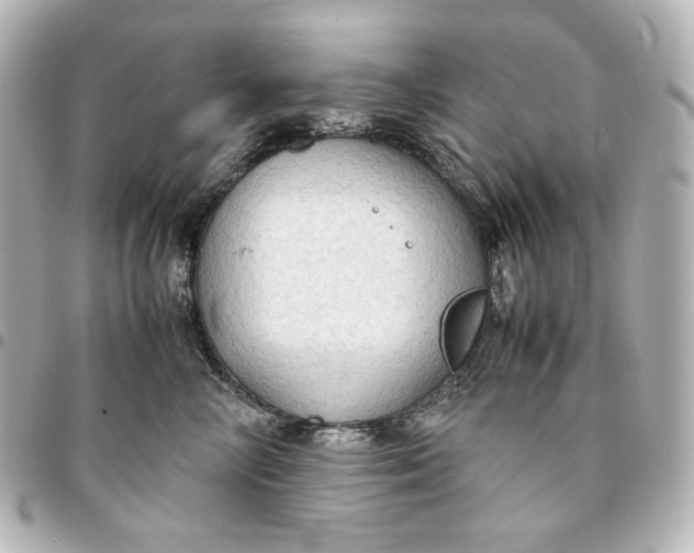 X0000095520714200712281500